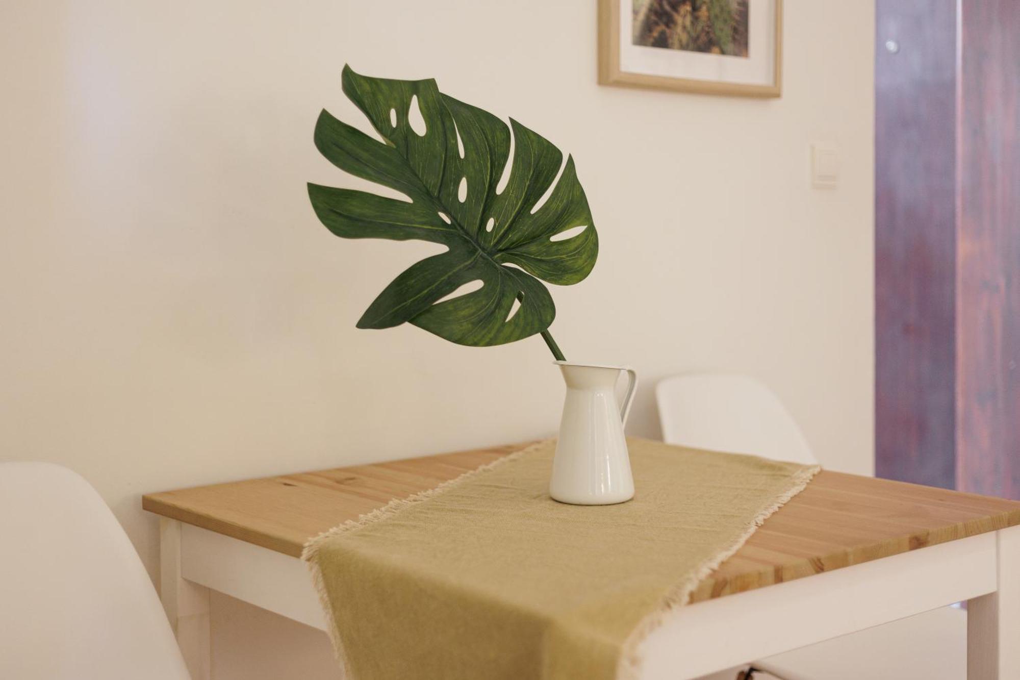 Aloe Apartment
